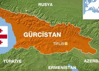 Türkiye’de aranan suç örgütü lideri Gürcistan’da sahte kimlikle yakalandı
