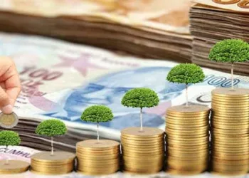 Mevduatlar arttı Türkiye’de bankaya daha çok TL yatırıldı