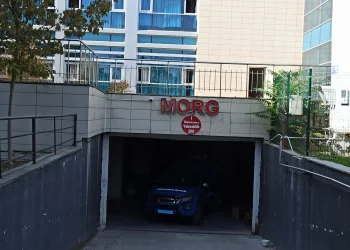 Bursa’da ceviz ağacından düşen adam hastanede öldü