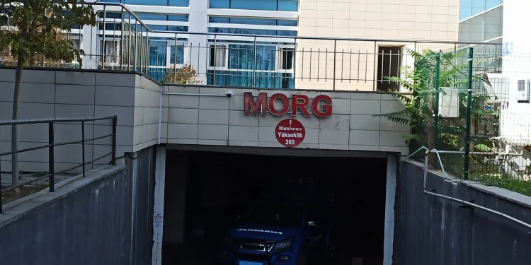 Bursa’da ceviz ağacından düşen adam hastanede öldü