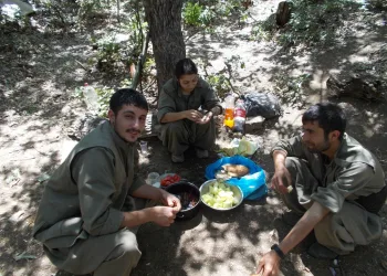 PKK’nın uyuyan hücrelerine operasyon