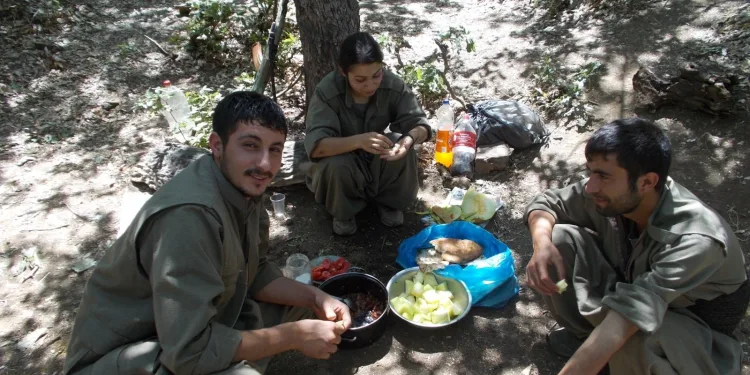 PKK’nın uyuyan hücrelerine operasyon