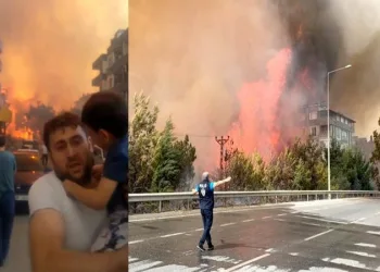 Hatay’daki orman yangınıyla ilgili 2 tutuklama