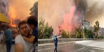 Hatay’daki orman yangınıyla ilgili 2 tutuklama