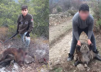 Bursa’da domuz avında kazara arkadaşını öldürdü