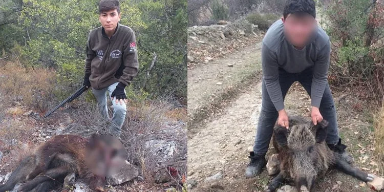 Bursa’da domuz avında kazara arkadaşını öldürdü