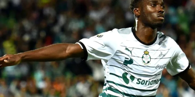 Djaniny Semedo Trabzonspor’da