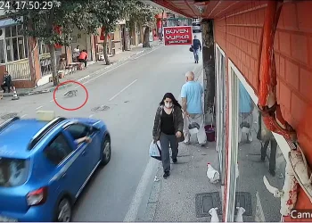 Bursa’da taksi dolmuş kediyi ezip yoluna devam etti