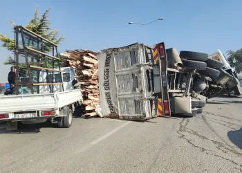 Ağaç yüklü kamyon, kamyonetin üzerine devrildi