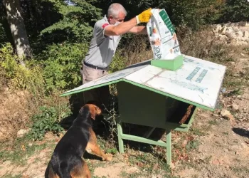 Osmangazi’de sokak hayvanları sahipsiz değil