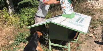 Osmangazi’de sokak hayvanları sahipsiz değil