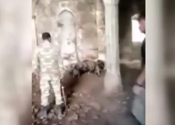 İşgalden kurtarılan Zengilan’da Ermenilerin camide domuz besledikleri ortaya çıktı