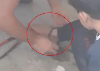 Zincire vurulmuş halde bulunmuştu! Ablasından akıl almaz açıklama