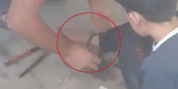 Zincire vurulmuş halde bulunmuştu! Ablasından akıl almaz açıklama