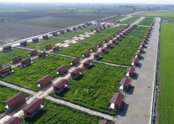 Pandemi döneminde yüzde 500 artan hobi bahçeleri yıkılacak