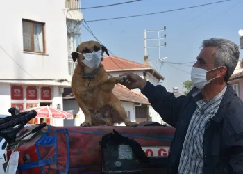 Maskeli ‘Fındık’ ilgi odağı oldu