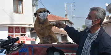 Maskeli ‘Fındık’ ilgi odağı oldu