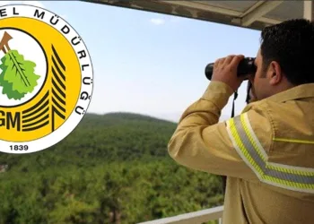 Orman Genel Müdürlüğü 274 daimi işçi alacak