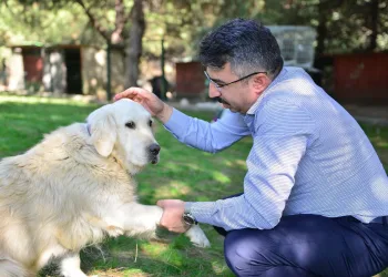 Başkan Yılmaz “Can Dostu” sahiplendirdi