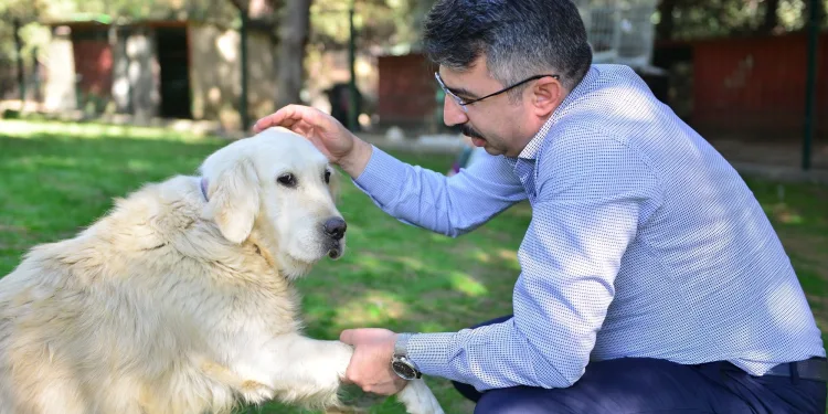 Başkan Yılmaz “Can Dostu” sahiplendirdi