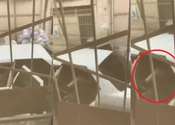 Bursa’da kız kaçırdığı iddiasıyla aranan 2 şüpheli teslim oldu