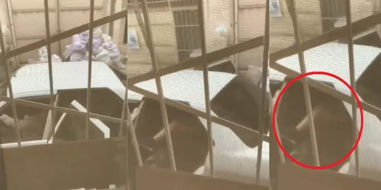 Bursa’da kız kaçırdığı iddiasıyla aranan 2 şüpheli teslim oldu