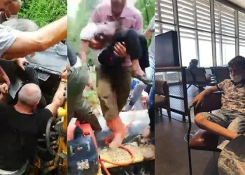 Trabzon’da ağaç devrildi facia yaşandı!