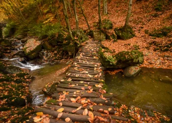 Bursa’nın turizm cennetinde sonbahar güzelliği
