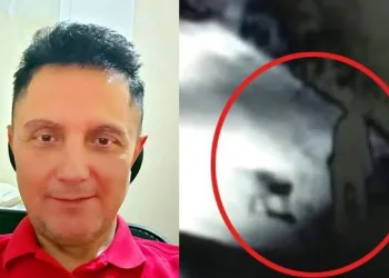 Sokakta köpeğini öldüren kişi doktor çıktı