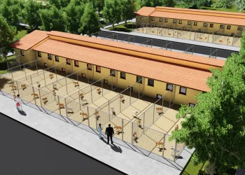 Büyükşehir’den can dostlara modern yuva