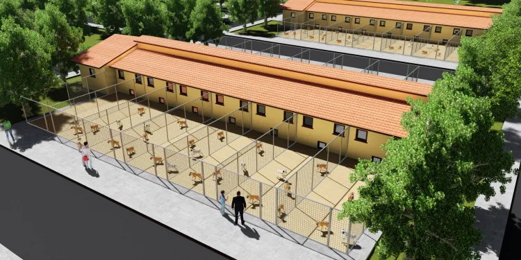 Büyükşehir’den can dostlara modern yuva