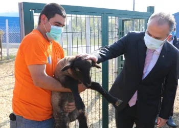 Çaresizlik Bursa Büyükşehir’le umuda dönüşüyor