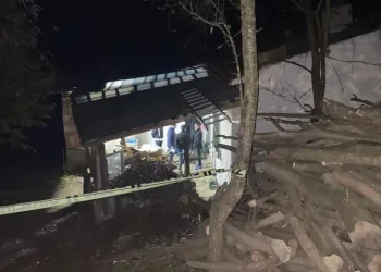 Domuz bağı cinayetinde kan donduran gelişme!