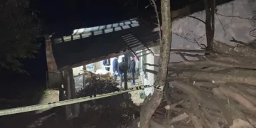 Domuz bağı cinayetinde kan donduran gelişme!