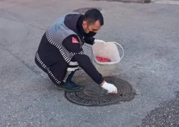 Osmangazi’den haşerelere karşı ilaçlama