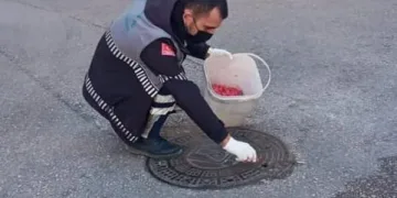 Osmangazi’den haşerelere karşı ilaçlama