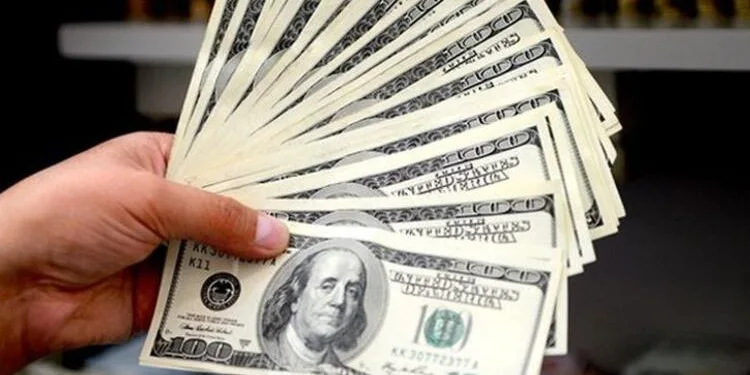 Vatandaşlar dolar almaktan vazgeçmiyor