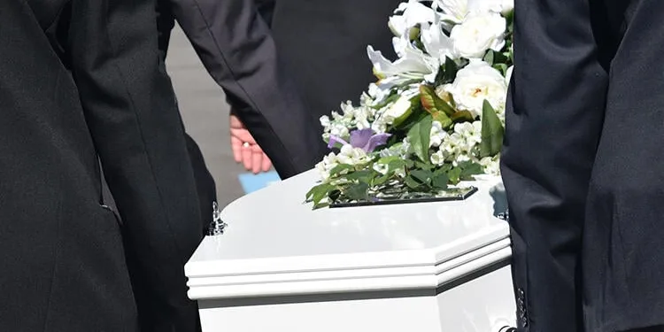 Hollanda’da cesetler eritilerek gübreye dönüştürülebilecek