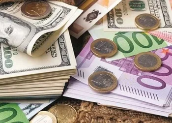 Dolar ve Euro tüm zamanların rekorunu kırdı