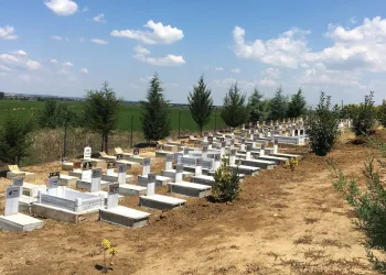 Arazisini hayvan mezarlığına dönüştürdü