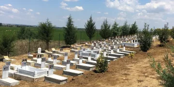 Arazisini hayvan mezarlığına dönüştürdü