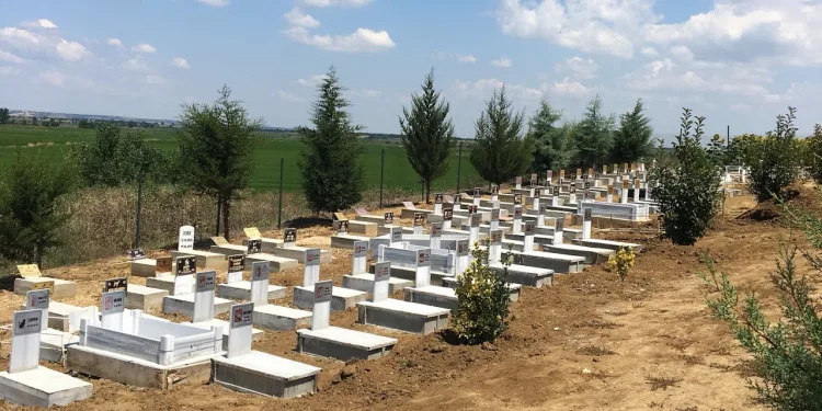 Arazisini hayvan mezarlığına dönüştürdü