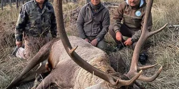 Kızıl geyik avlayan eski başkan kendini böyle savundu