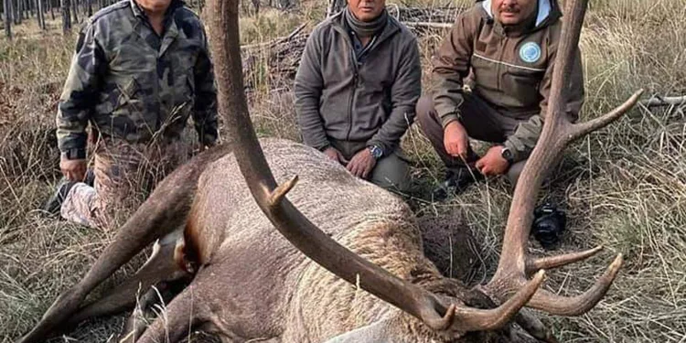 Kızıl geyik avlayan eski başkan kendini böyle savundu
