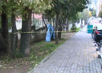 Parkta ağaçta asılı erkek cesedi bulundu