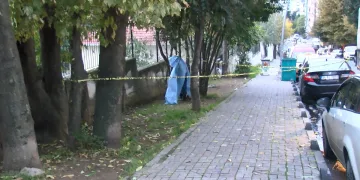 Parkta ağaçta asılı erkek cesedi bulundu