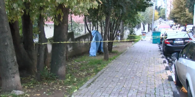 Parkta ağaçta asılı erkek cesedi bulundu