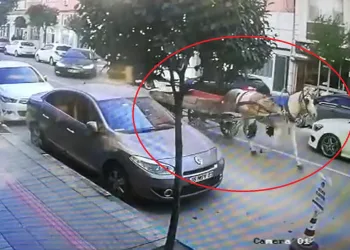 Bursa’da sahipsiz at arabası trafikte