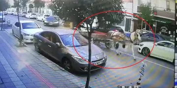Bursa’da sahipsiz at arabası trafikte