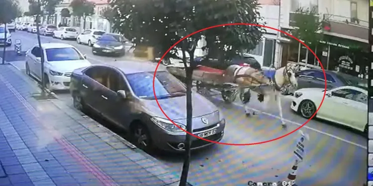 Bursa’da sahipsiz at arabası trafikte